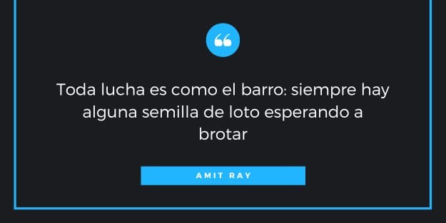 Frase de Amit Ray sobre la flor de loto