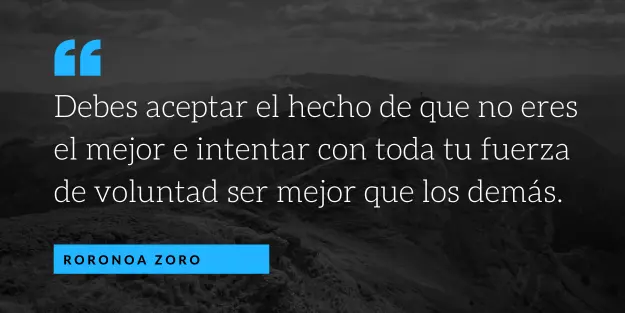 frase de Roronoa Zoro en one piece