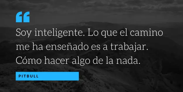 frase del cantante Pitbull