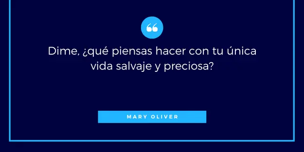 frases de mary oliver