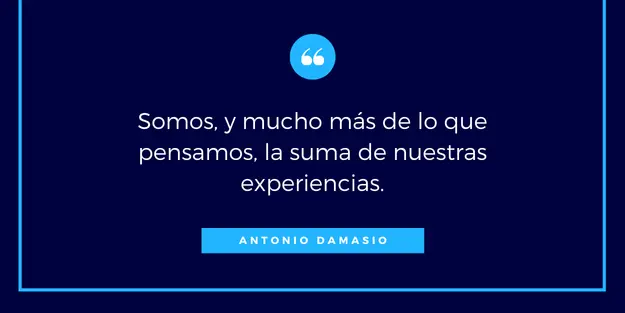 Frases de Antonio Damasio
